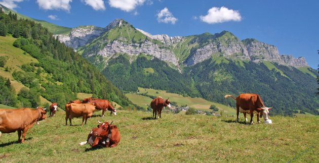 nature a annecy